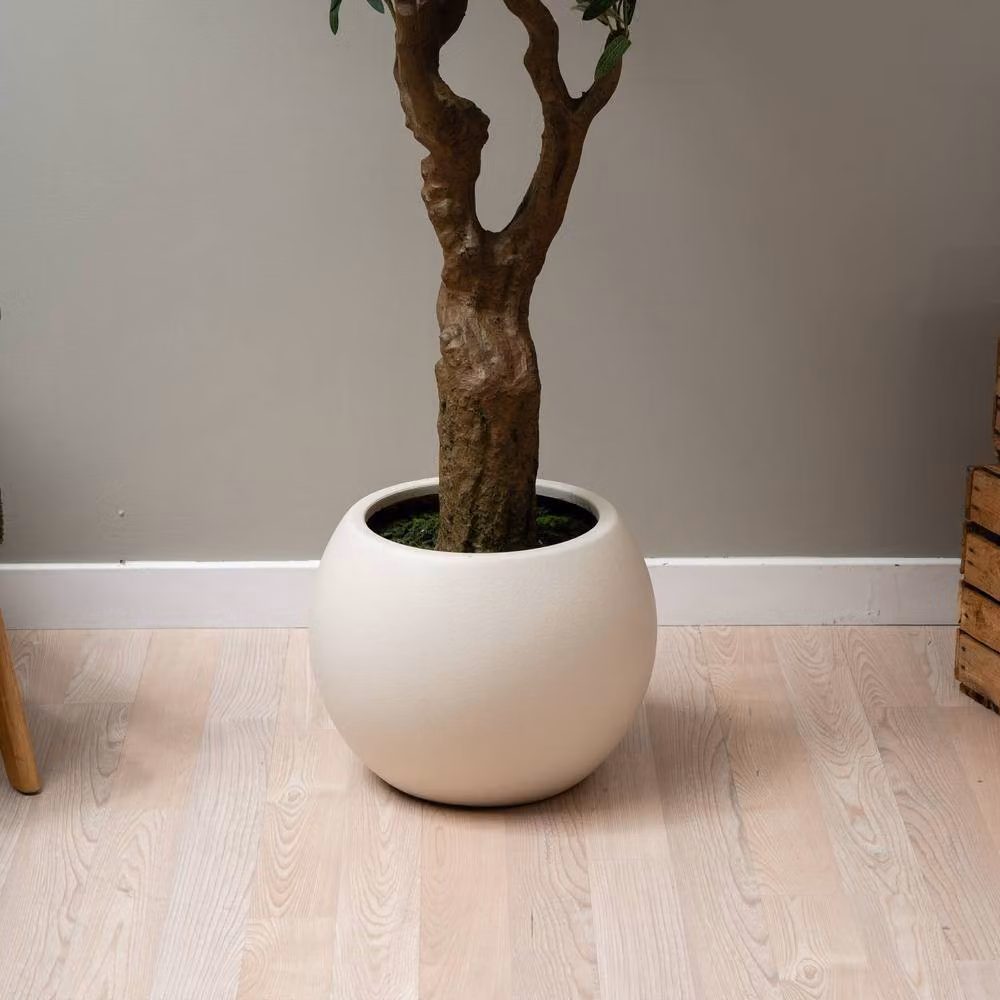 Scottish Everlastings Ltd 230 cm Green Mediterranean Olive Tree – 3