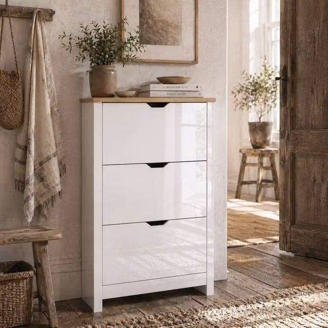Wyld Haus Dorane Lake Slim Shoe Cabinet in High Gloss White with 3 Tilting Compartments