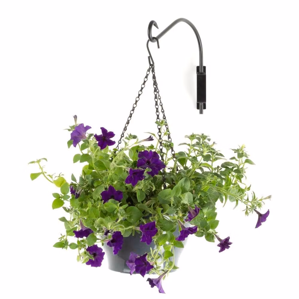 NESTLUNE Black Iron Swivel Hanging Basket Wall Bracket – 2