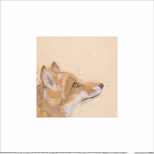 Bev Davies Curious Fox Multicolour Paper Poster