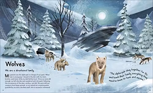 DK My Animal Family: Meet The Different Families of the Animal Kingdom Multicolour Book – 3