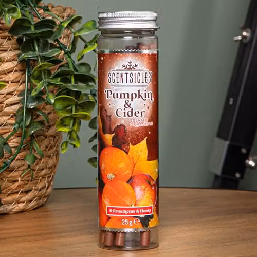Samuel ALEXANDER Pumpkin and Cider Scented Christmas Scentsicles, 25g – 2