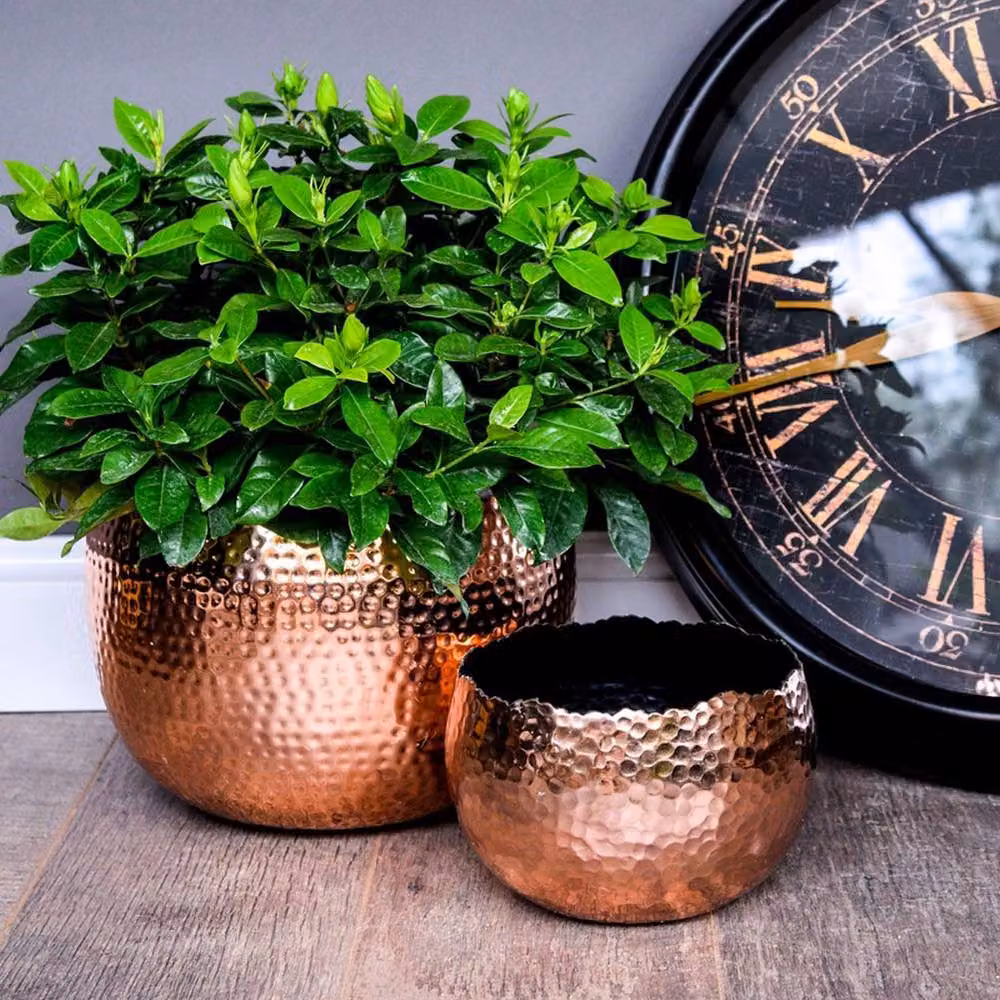Lemon Pavilion Hammered Metal Round Tabletop Bowl Planter in Copper and Black, W: 19 cm, D: 19 cm, H: 14 cm – 4