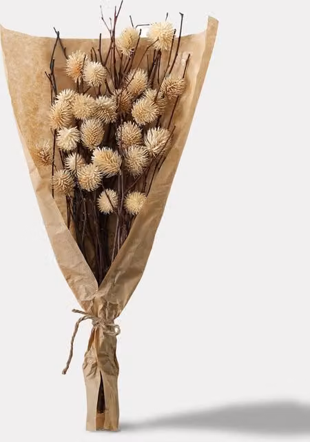 Gallery Direct Dried Thistle Bouquet in Beige