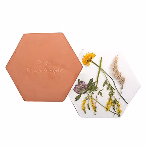 Fallen Fruits Orange Ceramic Flower and Herb Press, Microwaveable Terracotta Heavy Hexagonal Press