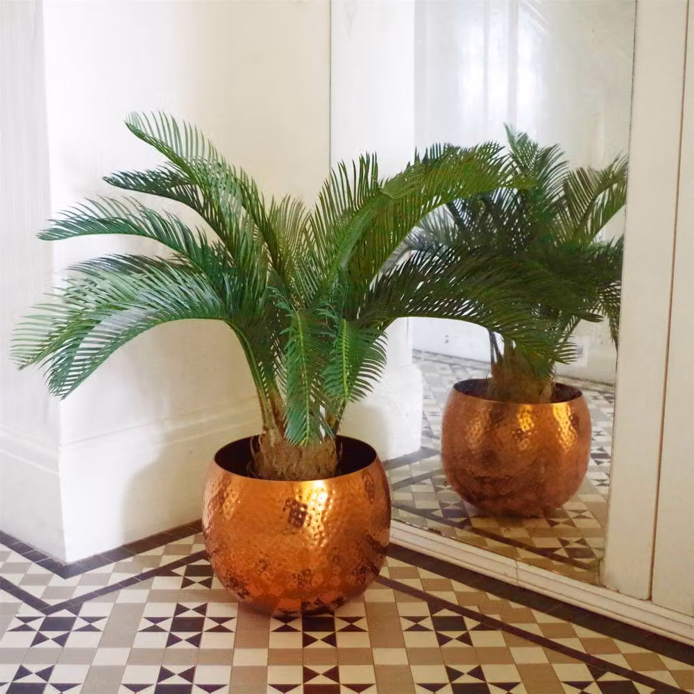 Botanik Green Artificial Cycas Palm Tropical Tree Height: 80 cm – 3