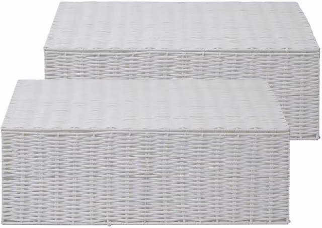 Arpan White Resin Woven Under Bed Storage Box Set of 2 with Lid and Handles, Medium