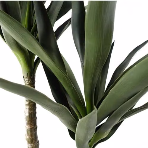 Botanik Realistic Green Artificial Tropical Palm Tree, H 120 x W 70 x D 70 cm – 3