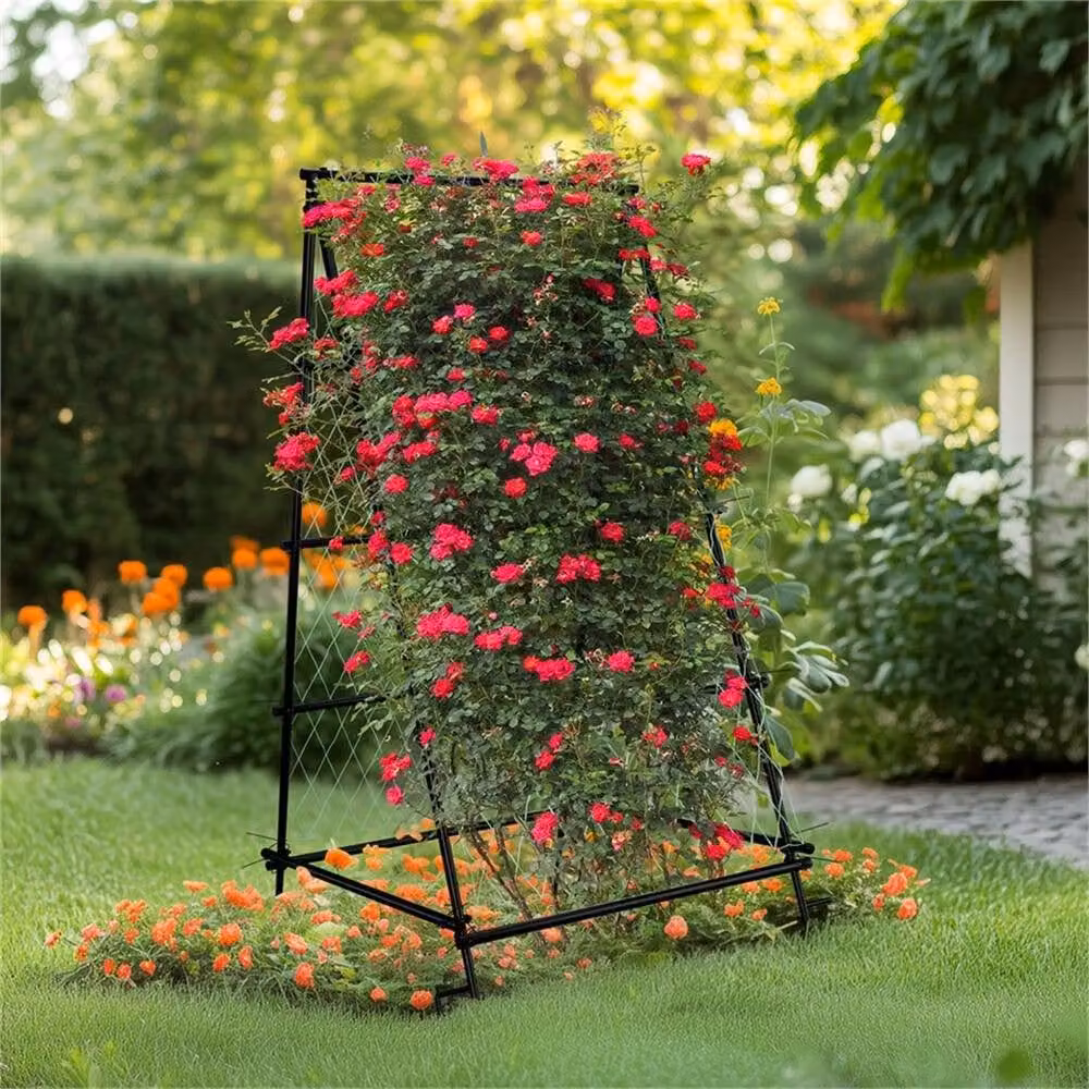 Nordara Large Trellis Plant Support Stand in Black, H: 176 cm x W: 90 cm – 3