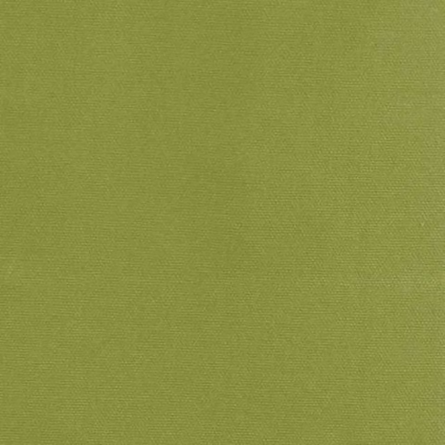 Terrys Green Fabric Panama