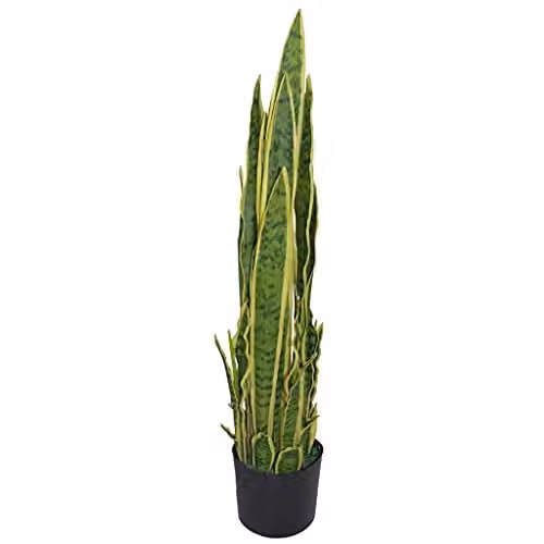 Leaf Design Yellow and Green Artificial Sansevieria Potted Indoor Plant, Height: 55 cm