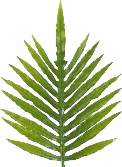 Extra Large Green Artificial Palm Leaf, 95 cm