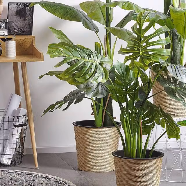 Wyld and Coco 113 cm Green Artificial Monstera Plant in a Concrete Pot