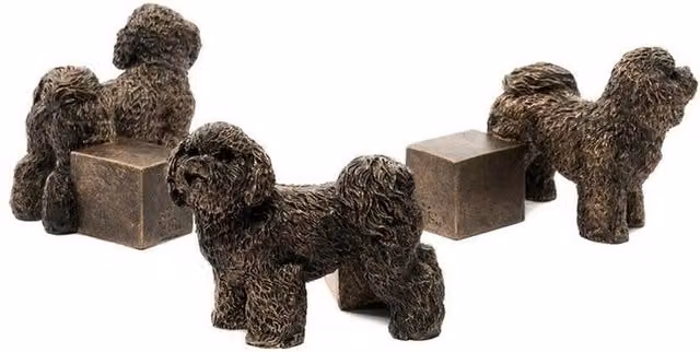 Jardinopia Bichon Frise Plant Pot Feet, Set of 3, Bronze, L9 x W10.5 x H7 cm