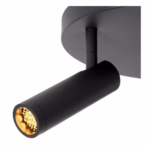 Lucide Netlighting Grado Black Adjustable Dimmable Ceiling Spotlight, Diameter: 25 cm, 3x GU10 – 3