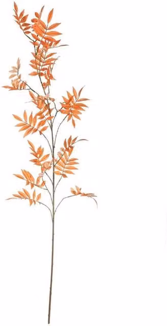KDMD Botanica Orange Sorbus Branch Artificial Flowers, Height: 161 cm