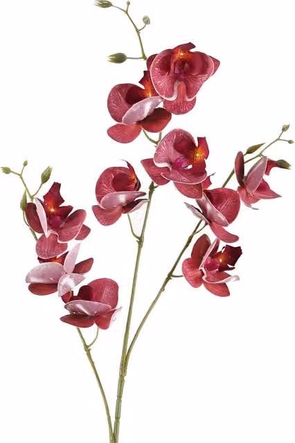 Dark Pink Artificial Mini Orchid Stem with Leaf, Height: 80 cm