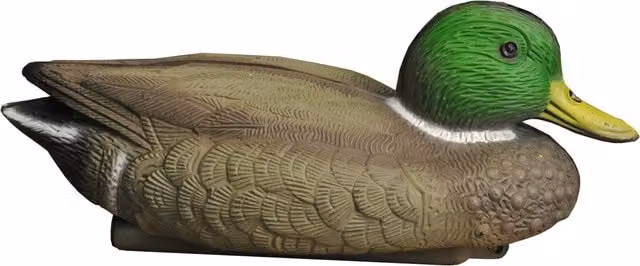 Green and Multicolour Plastic Mallard Duck Floating Decoy for Hunting and Pond Decoration