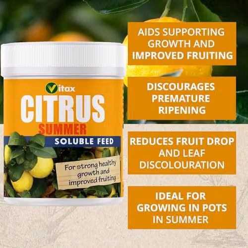 Vitax Citrus Summer Plant Tonic, 200g – 2