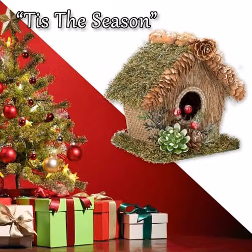 VFM e-Store Christmas Bird House Tabletop Decoration, Green, W: 15 cm, D: 16 cm – 5