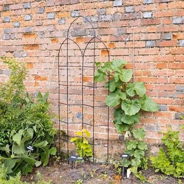 Primrose Offset Metal Spire Design Trellis in Black Powder Coating, Height: 182 cm
