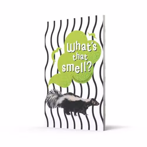 What's That Smell?: Fluency 6 (Big Cat for Little Wandle Fluency) by Collins, Multicolour – 2