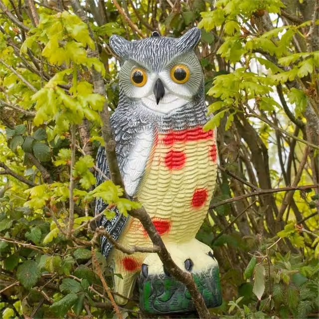 KCT Spetlek Pond Garden Decoy Deterrent Owl in Multicolour – 1