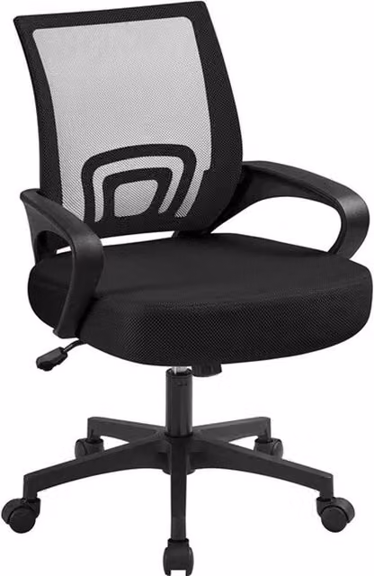 FLAVORA Black Fabric Task Chair for Home Office with Armrests