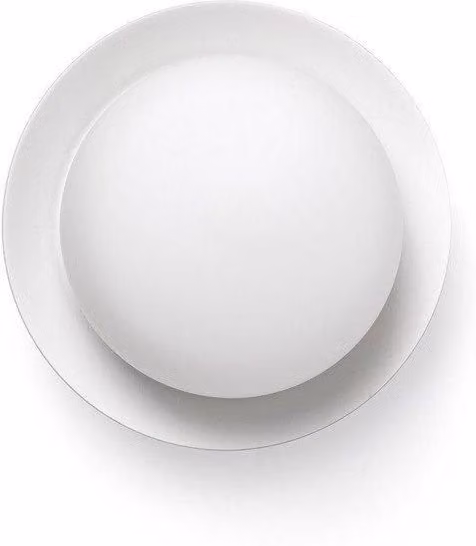Netlighting White LED Flush Wall and Ceiling Lamp IP44
