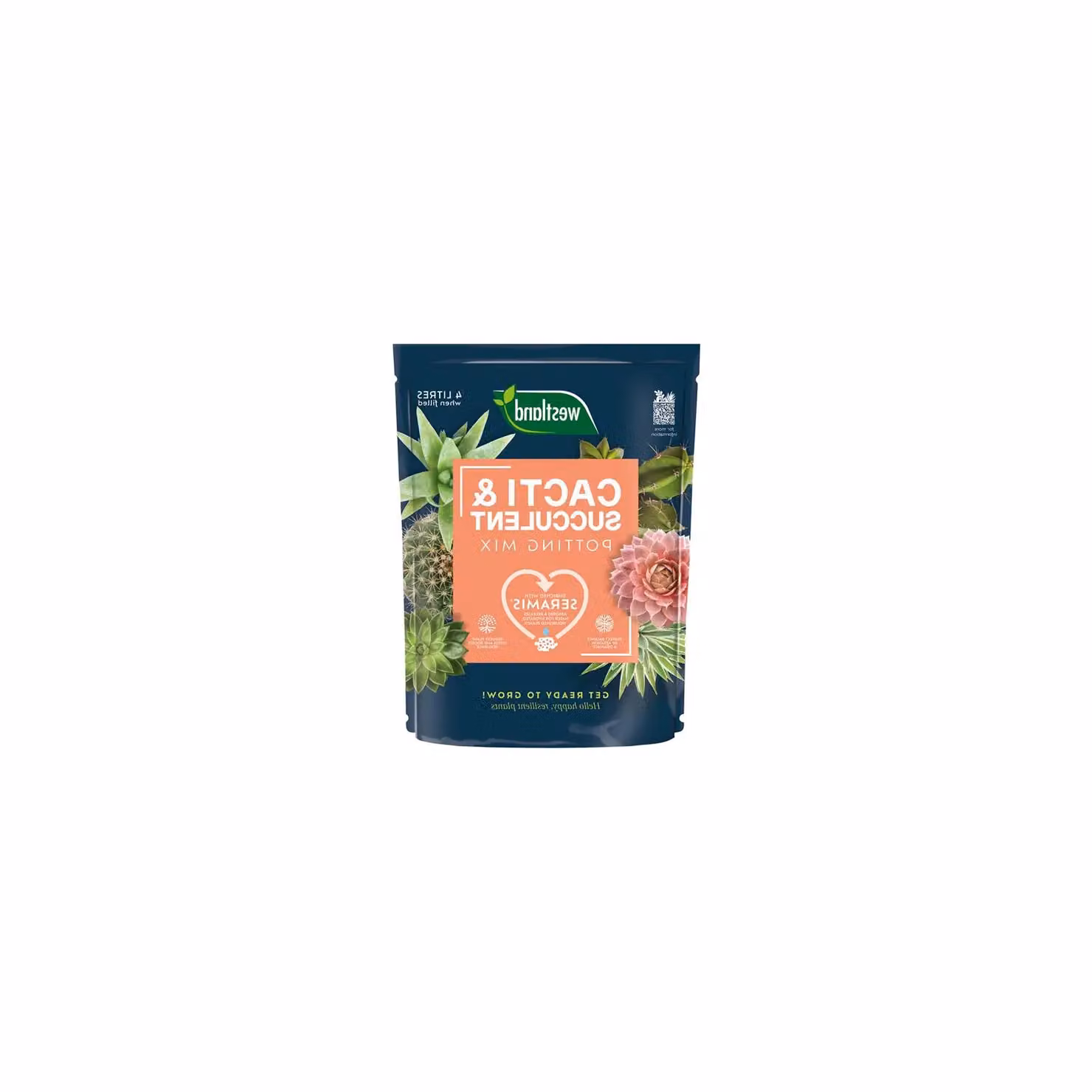 Westland Cacti and Succulent Potting Mix, 4.0 l, Blue – 2
