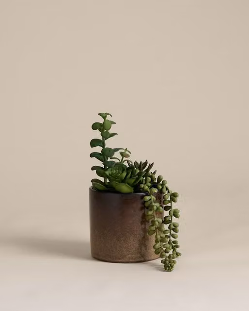 M&S Artificial Succulent Family in a Green Reactive Glaze Ceramic Pot