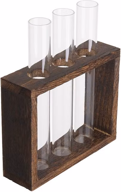 Livingandhome Set of 3 Transparent Glass Terrarium Planter Vases with White Wood Base