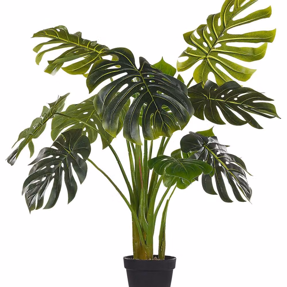 Wyld and Coco 113 cm Green Artificial Monstera Plant in a Concrete Pot – 2