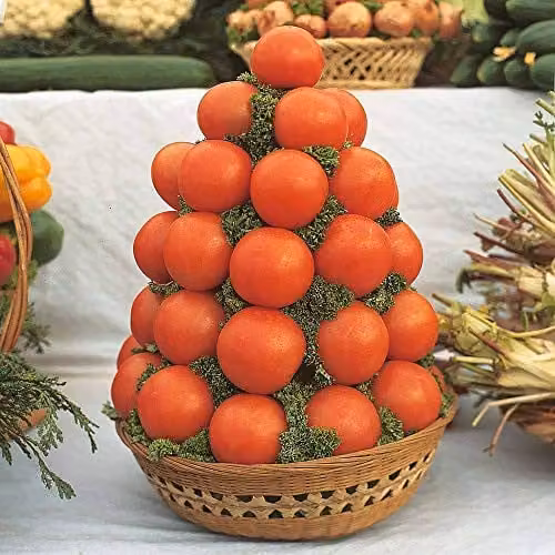 Thompson and Morgan Alicante Tomato Seeds, 100 Seeds per Packet, Red Fruit/Vegetable Garden Plants – 1