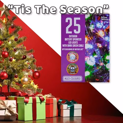 VFM e-Store Multicolour Christmas String Lights with 25 Bulbs – 7
