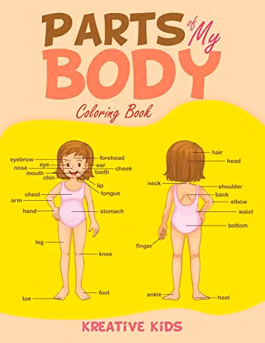 Parts of My Body Colouring Book by Traudl Whlke, Multicolour School Edition