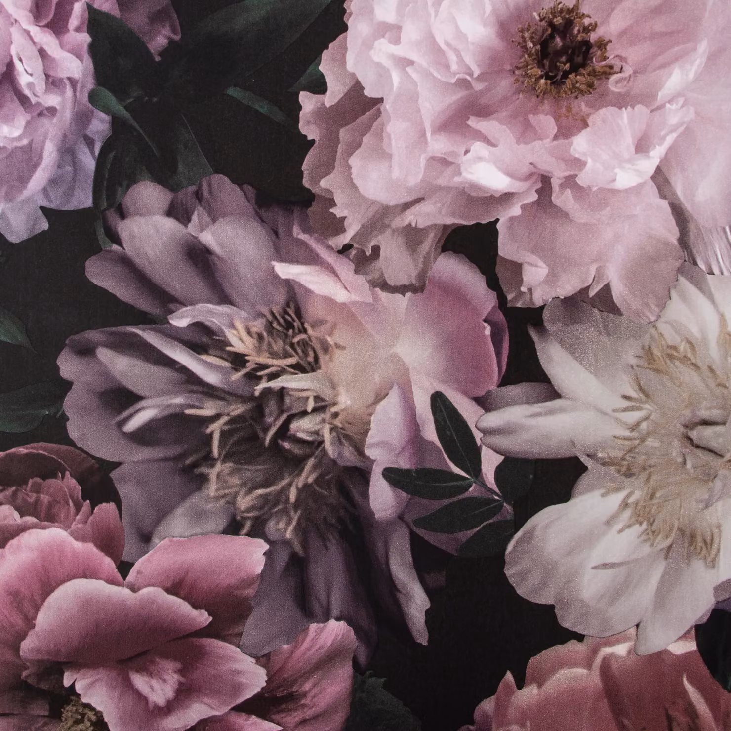 Fresco Pandor Drama Floral Wallpaper in Pink and Purple, Width: 52 cm – 4