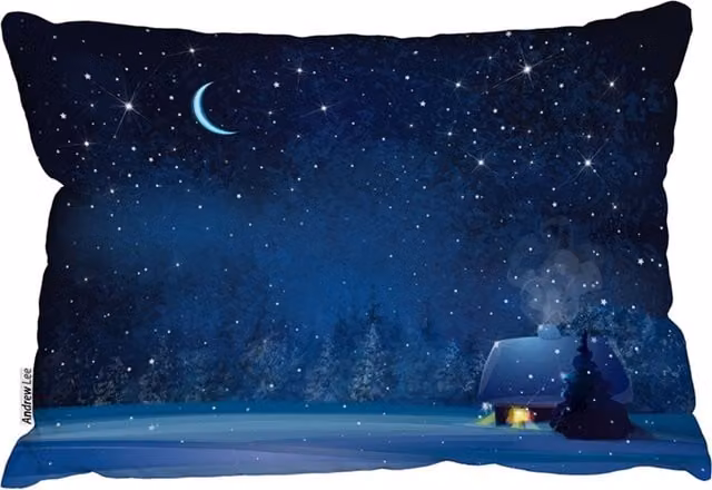 Benjamin Tate Design LTD Rectangular Night Winter Landscape Stylish Cushion in Blue