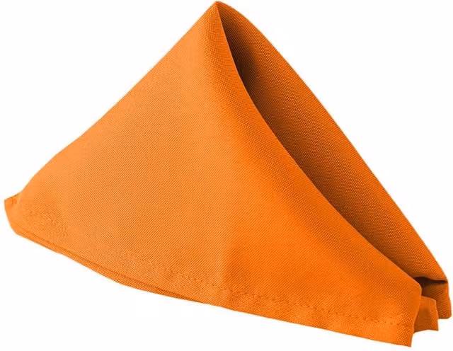 Neel Blue Orange Polyester Reusable Wrinkle-Resistant Table Napkins, 10 Pack – 1