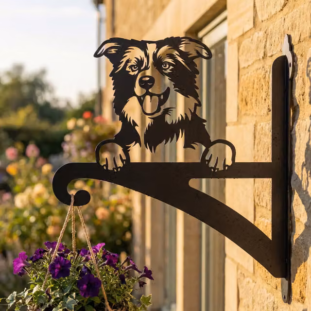 Laser Hut Border Collie Ornamental Metal Hanging Basket Bracket in Black