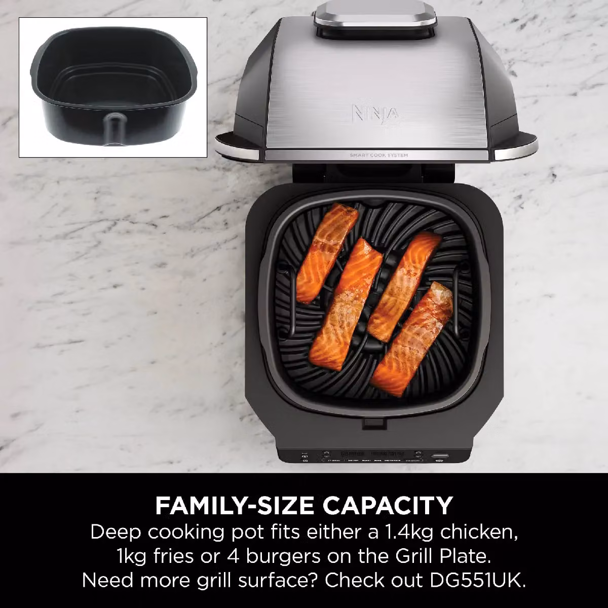 Ninja 5-in-1 Grill and Air Fryer EG351 in Silver – 5
