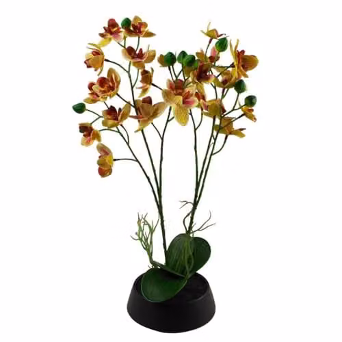Leaf Design UK Pink and Yellow Artificial Orchid in a Black Ceramic Planter, Height: 43 cm