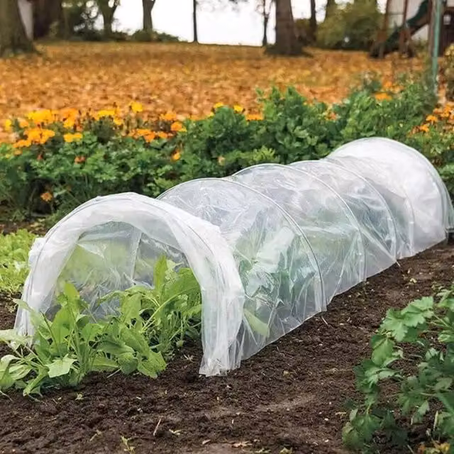 Marco Paul Mini Polytunnel Greenhouse in Clear with Galvanised Steel Frame – 1