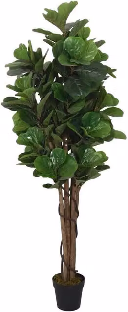 Berkfield Home Artificial Fiddle Leaf Fig Tree, Green, Height: 180 cm – 1