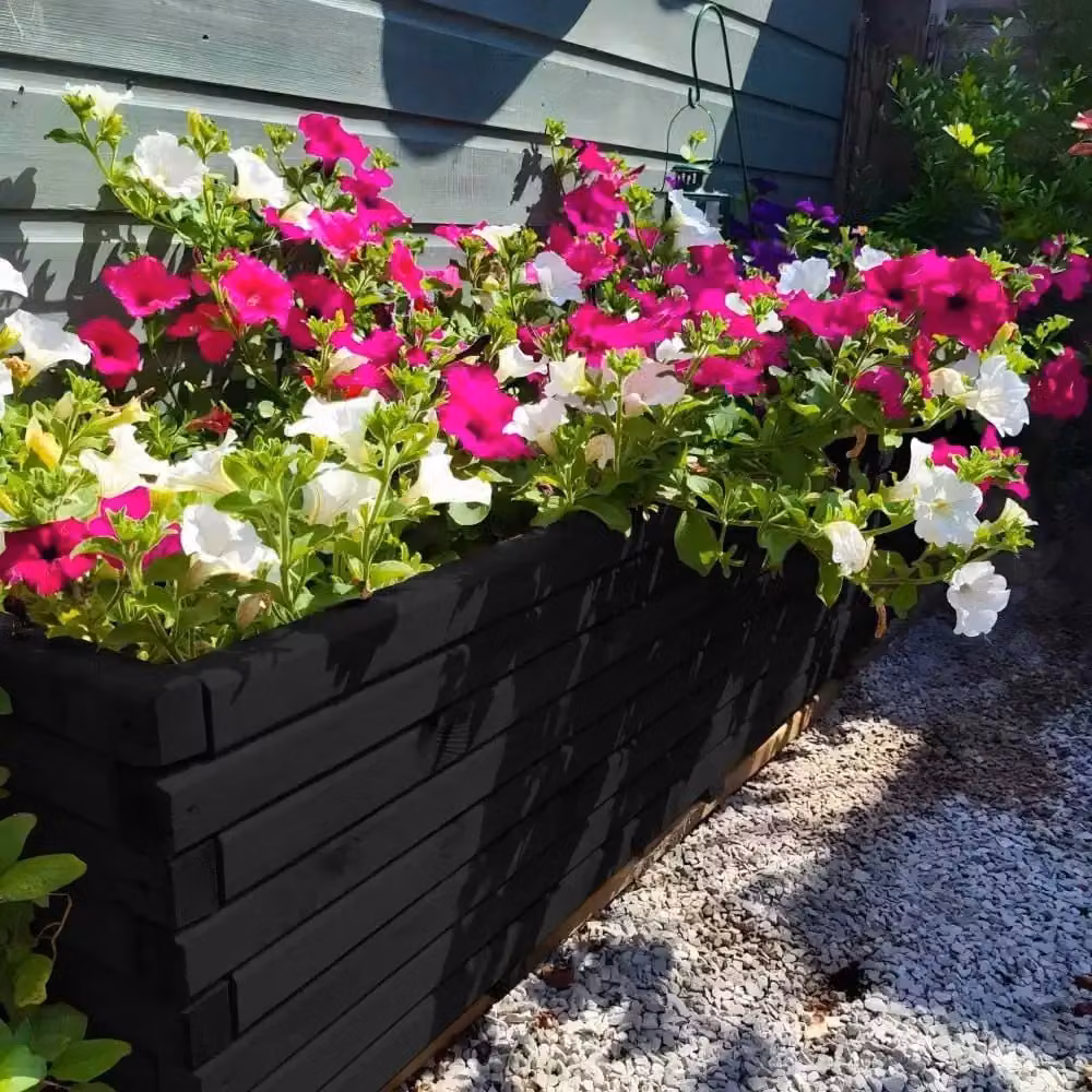 Access Garden Products Pine Raised Trough Planter in Black, W: 200 cm, D: 40 cm, H: 40 cm – 5