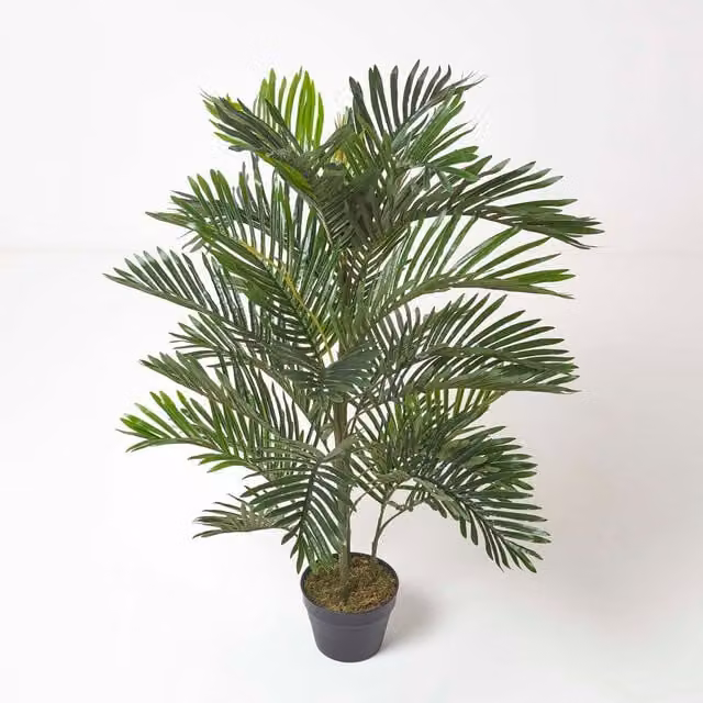 Homescapes Multi Stem Green Palm Tree in Pot, Height: 120 cm, Green