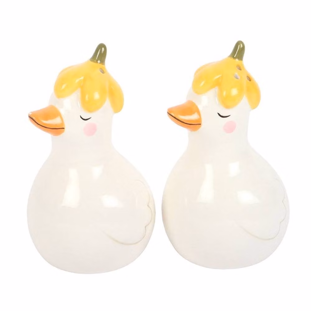 Uniqueful Daisy and Duck Ceramic Salt and Pepper Shakers in Multicolour and White – 2