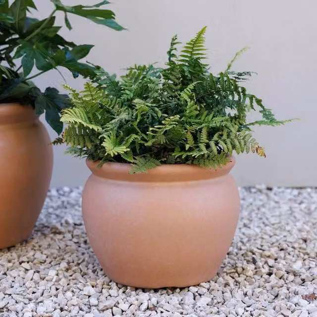 Primrose Large Round Terracotta Style Garden Planter, Brown Outdoor Plant Pot