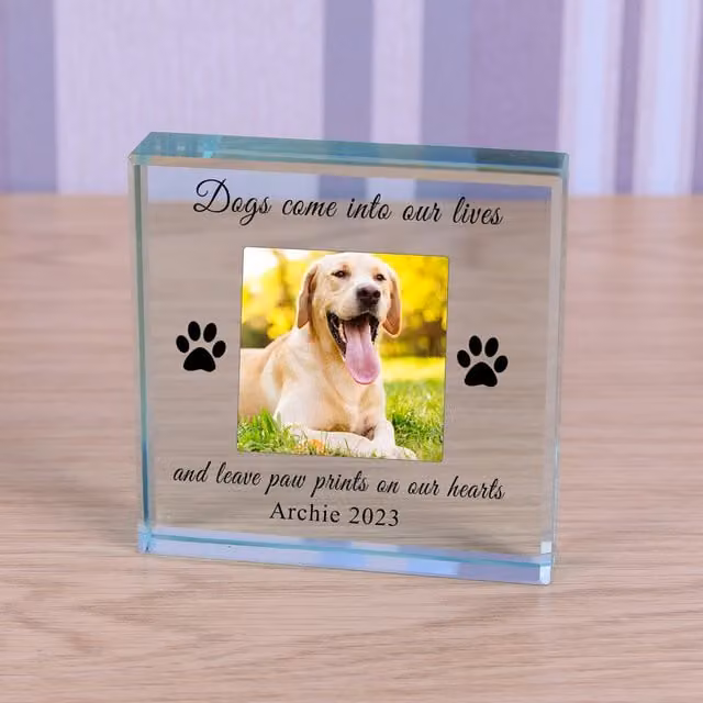 Uniqueful Personalised Dog In Memory Glass Token Sympathy Gift in Transparent and Beige