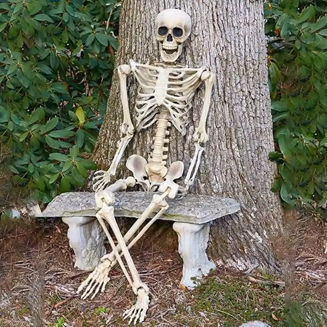 NESTLUNE Realistic White Halloween Full Body Skeleton Hanging Prop for Adults, H x W x D: 100 x 15 x 15 cm – 1